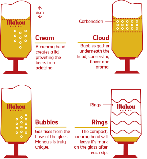 Anatomy of a Draft Beer
