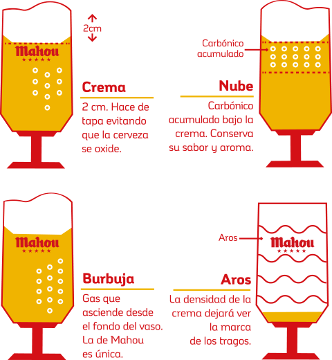 Infografía de la anatomía una cerveza
